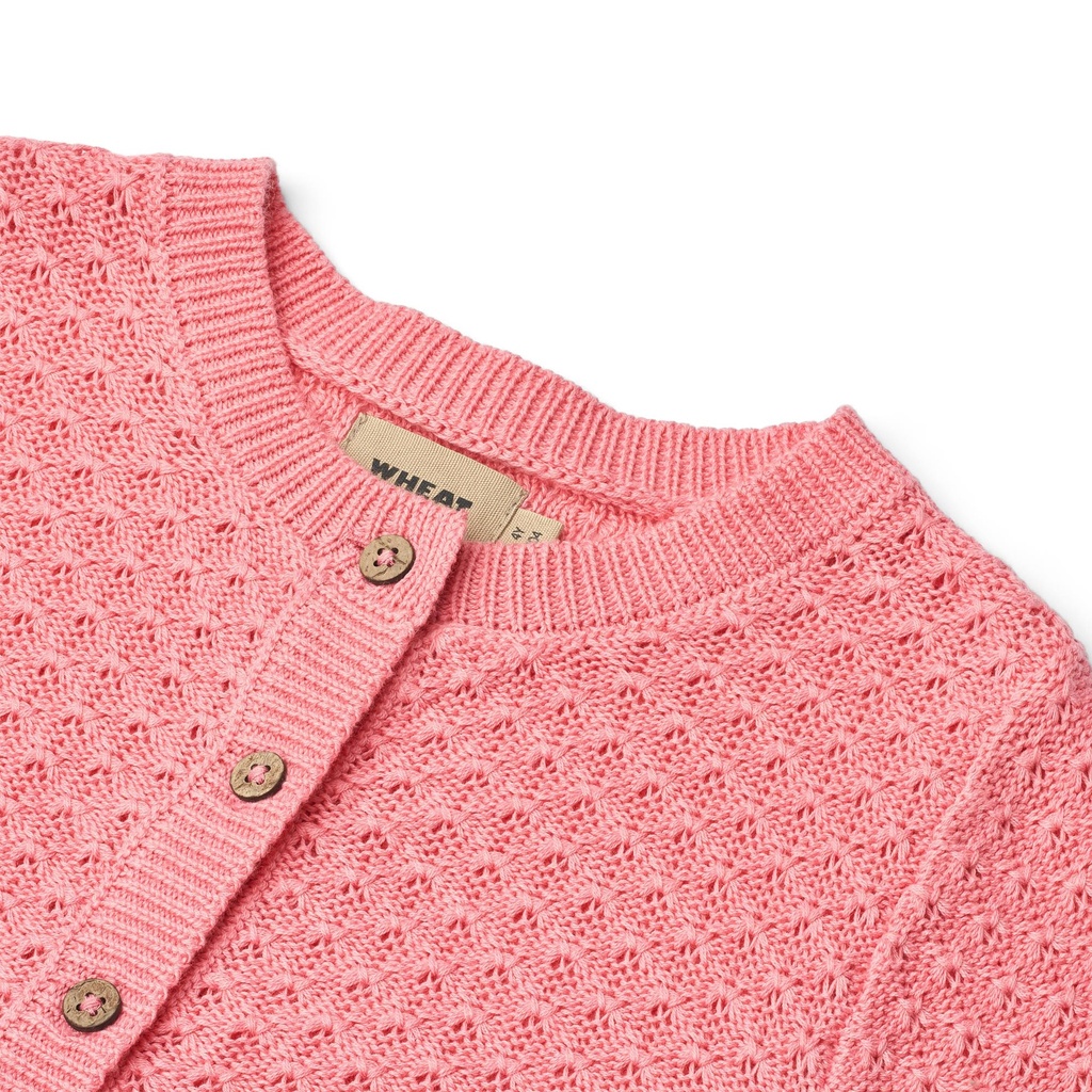 Knit Cardigan Magnella FS25