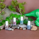 Dino Collection Pack of 4 Nail Polishes